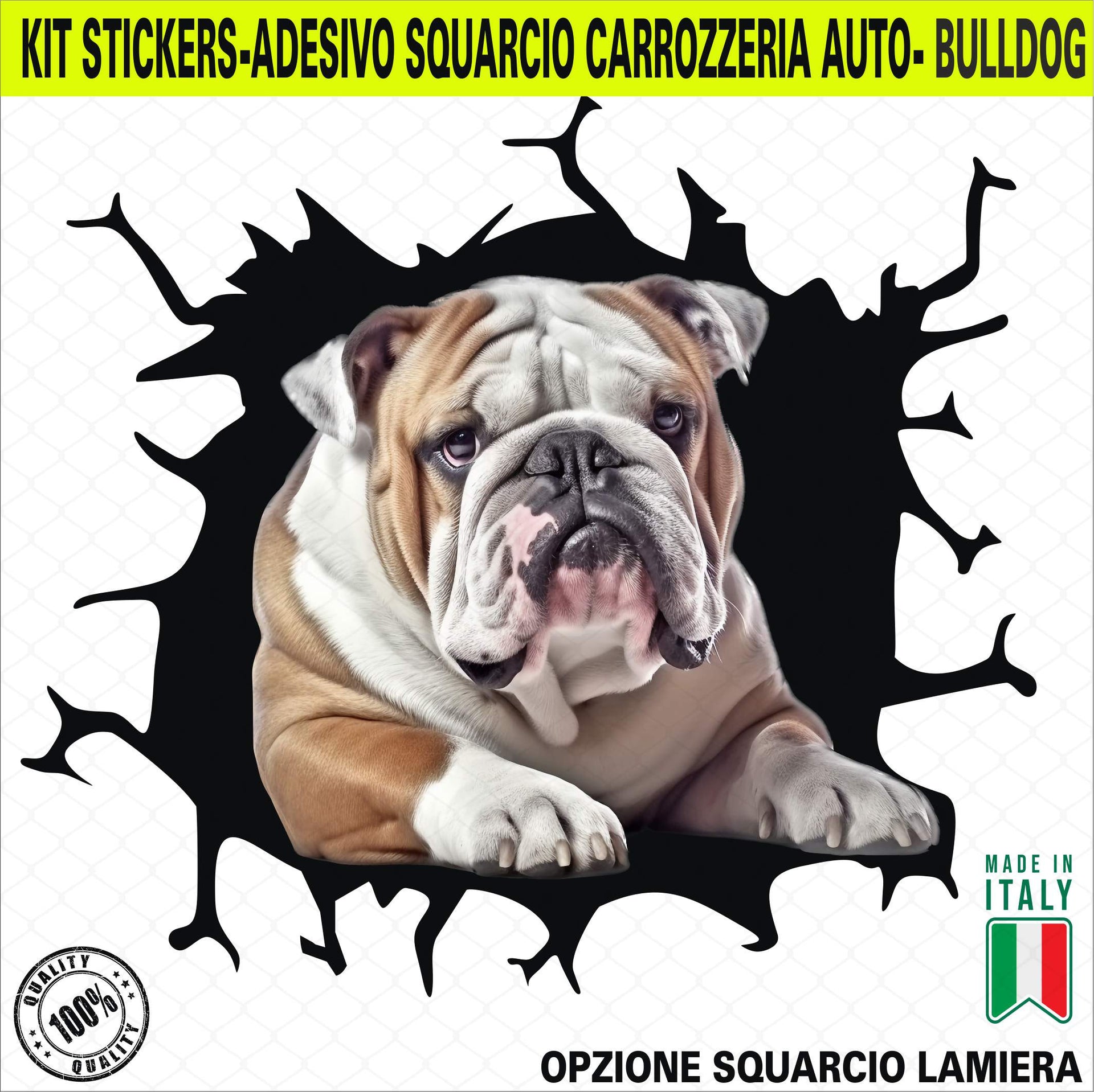 Kit 1 Adesivo in Vinile BULLDOG INGLESE RAZZA CANINA Accessori Decalcomanie Divertenti per Auto Camion Camper cod. 2372