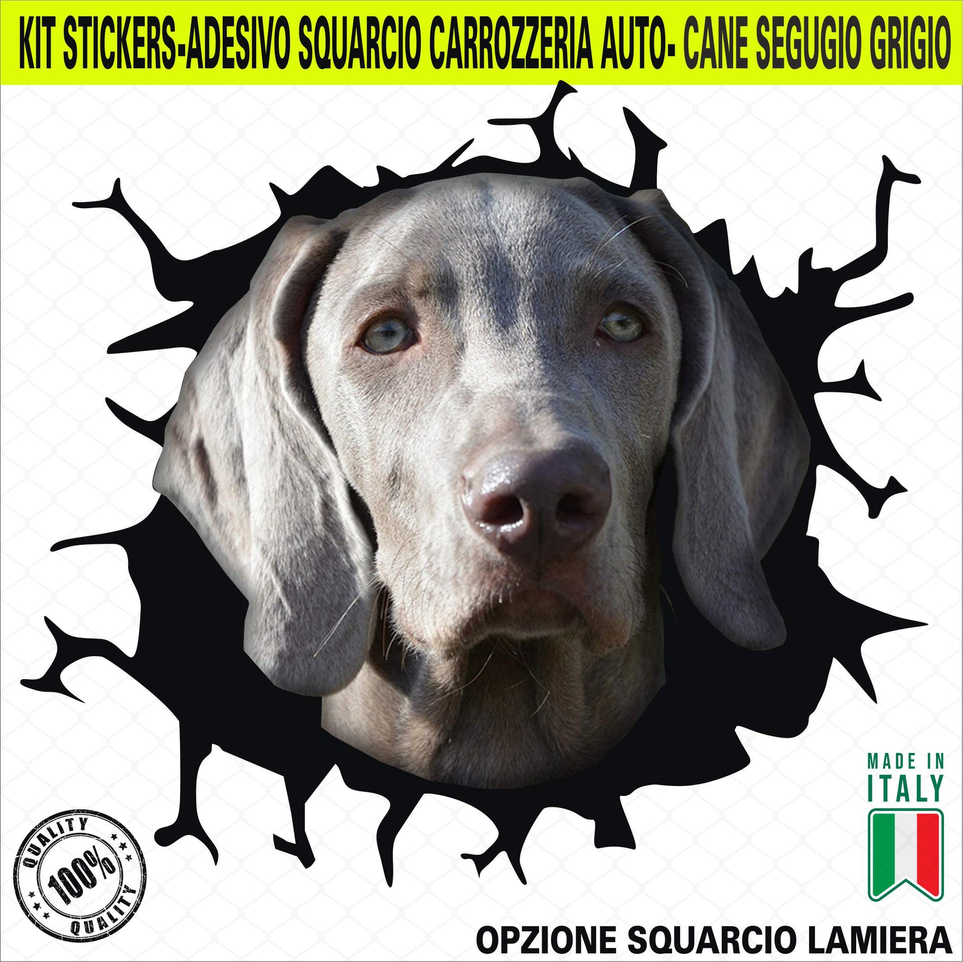 Kit 1 Adesivo in Vinile Weimaraner Bracco Cane Segugio Grigio Accessori Decalcomanie Divertenti per Auto Camion cod. 2374