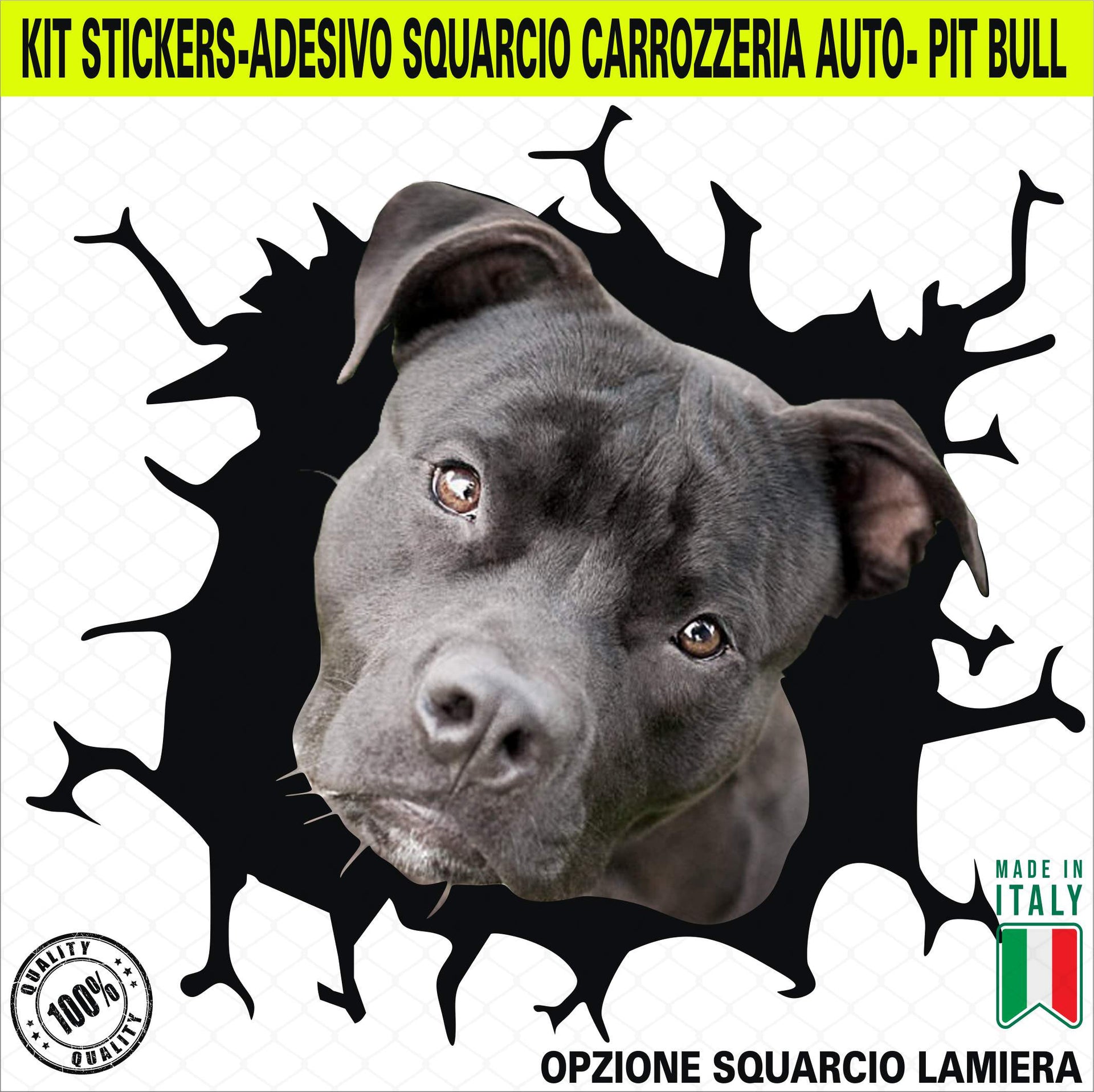 Kit 1 Adesivo in Vinile PIT BULL TERRIER PITBULL Accessori Decalcomanie Divertenti per Auto Camion Cod. 2384